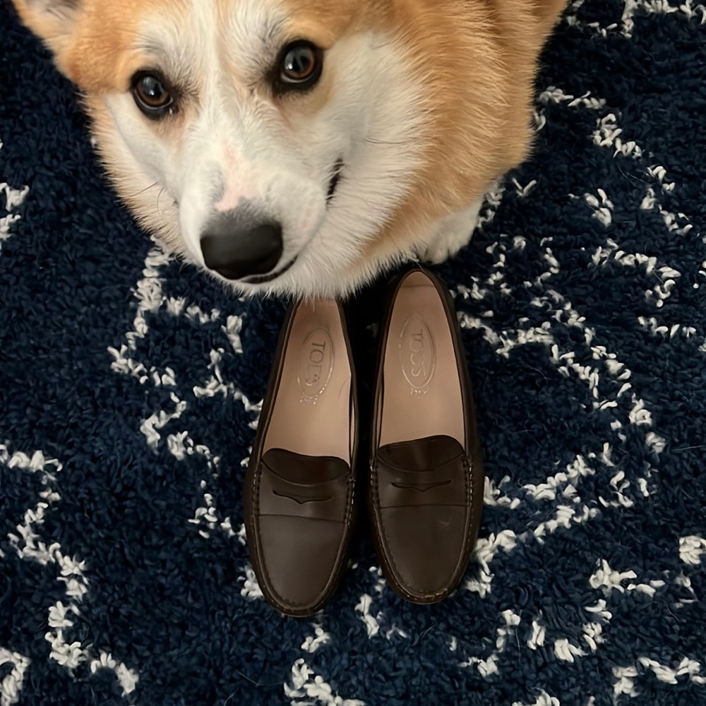 Barely worn Tod’s
